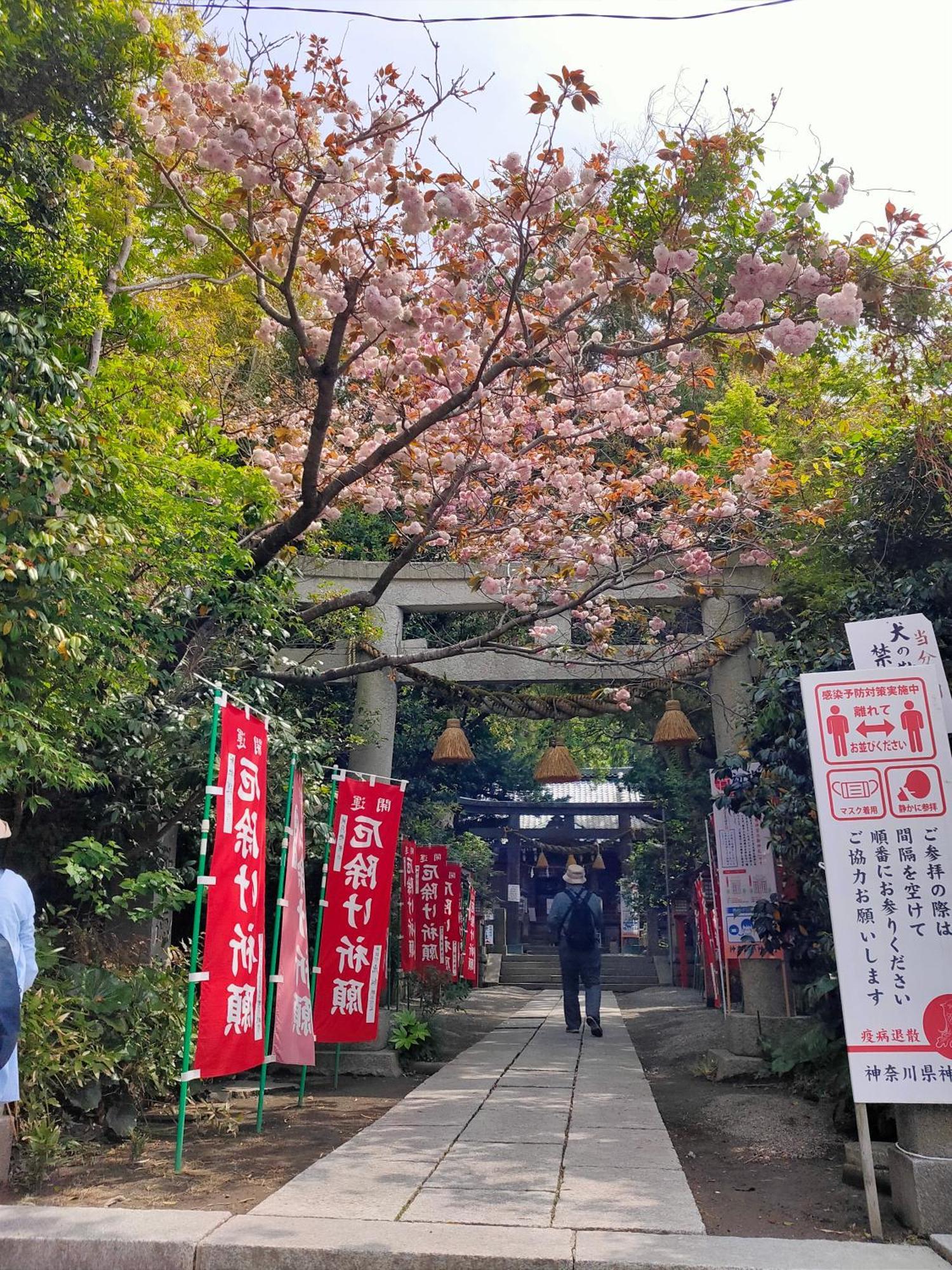 Jiro De Kamakura Apartment Exterior photo